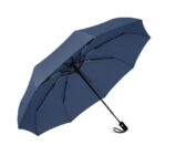 SKYTONE Umbrella, Strong Compact & Easy Auto Open/Close