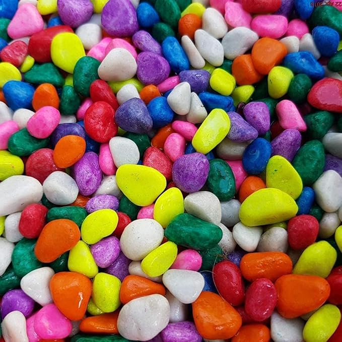 Maalavya Multi Color Pebbles for Decoration Mixed Pebbles for Plants Pots, Fish Tank Aquarium, Table, Vase Fillers (1)