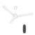 Havells 1200mm Ambrose DX BLDC Motor Ceiling Fan (Pack of 1, White)