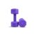 AIVIN Coregrip 1.0 PVC Dumbbells I Set of 2 (2kg Each) (Purple)